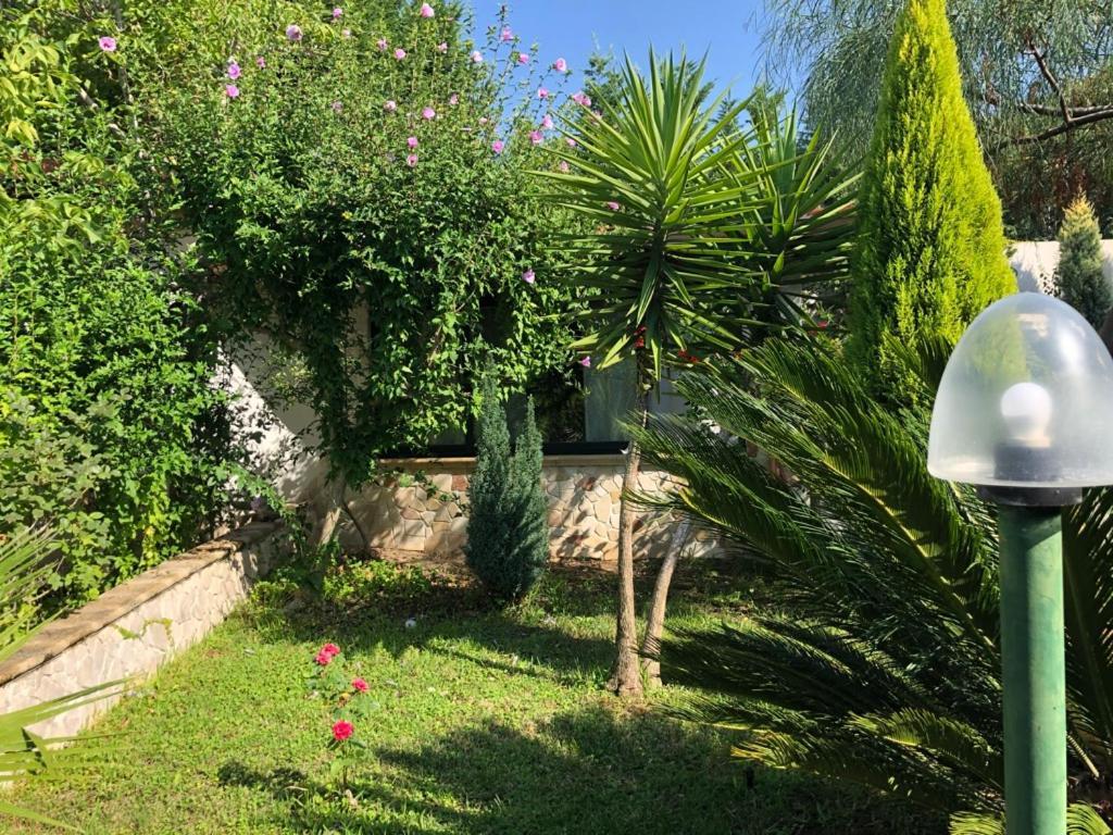 Villa Giulia Parghelia Extérieur photo